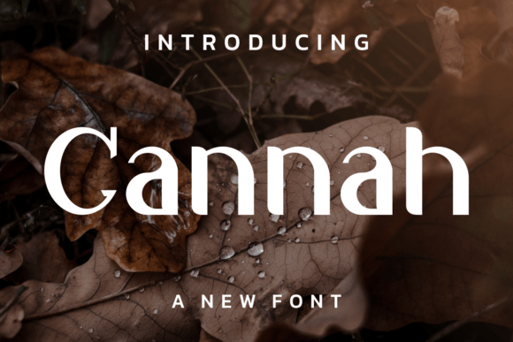 Cannah: A Modern Display Font for Bold Campaign Typography